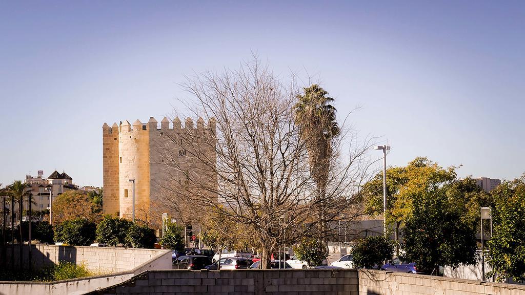 Apartamento La Calahorra Cordoue Extérieur photo